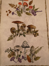 Carica l'immagine nel visualizzatore di Gallery, Strofinacci in puro lino