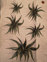 Carica l'immagine nel visualizzatore di Gallery, Strofinacci stampati misto lino